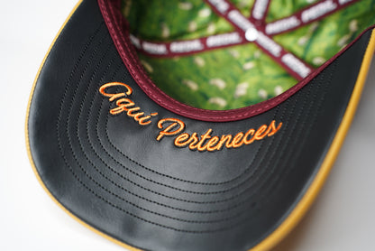 Redil Cap “Dejo las 99”